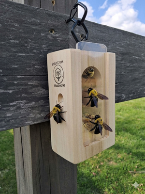 #ad hand made bee traps $14.50
