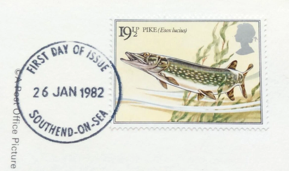 RARE EARLY DATE STAMP ERROR ON 1983 BRITISH RIVER FISHES P.H.Q. CARDS #00071 - Image 3 of 4