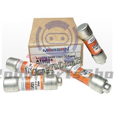 Boîte De 10 Fusibles ATDR6 6A 600VAC - Pour Ferraz Shawmut - Neufs