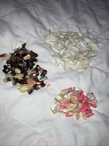 Vtg Abalone/Shell Chips Beads Loose