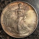 1995 1 oz Silver American Eagle (Brilliant Uncirculated) Toning