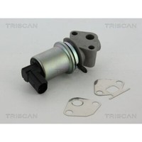 Agr-Ventil Triscan 8813 29004 FüR Audi Seat Skoda VW