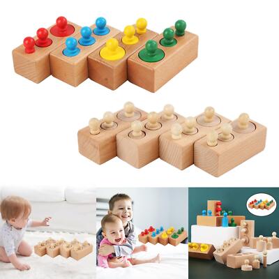 4x Montessori Knobbed Cylinders Blocks Wooden Socket Toys for School ...