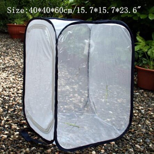 Mantis Stick Small Insect Butterfly Housing Enclosure Net Plant ...