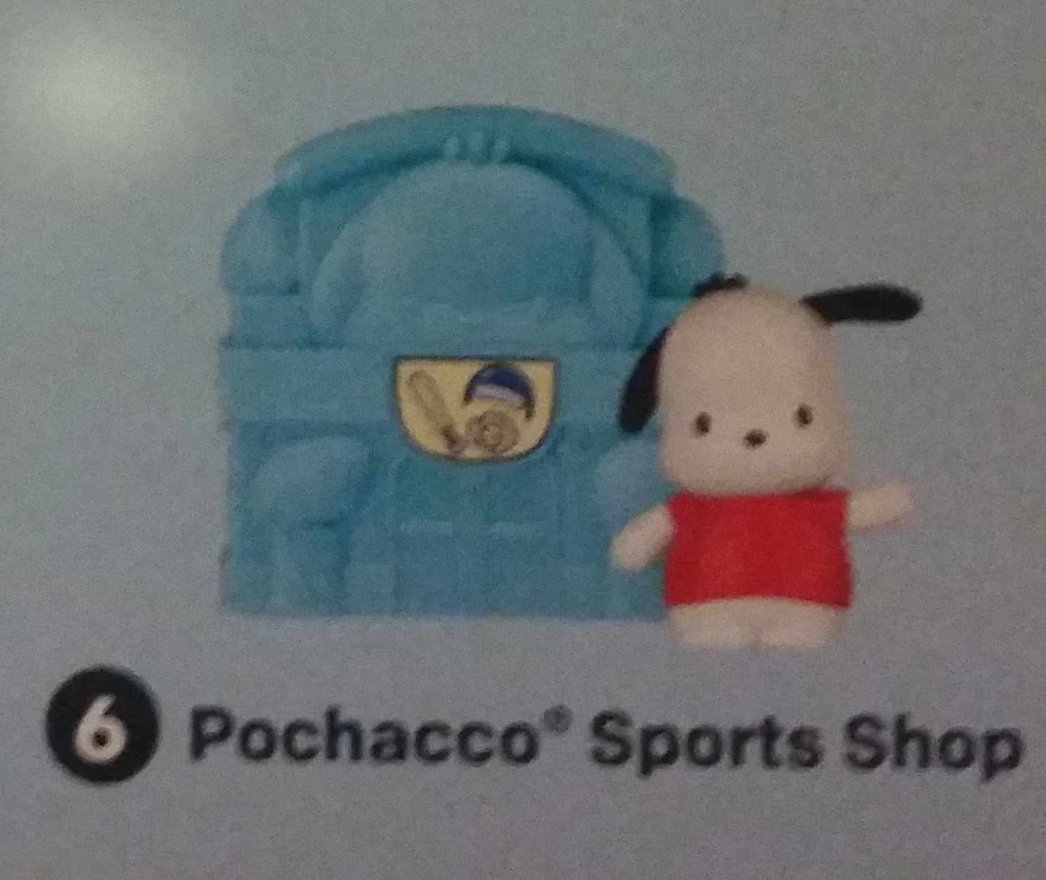 #6 POCHACCO SPORTS SHOP