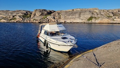 Motorkajütboot Campion Toba Fly (Flybridge) 26, Bj. 1982, Austauschmotor 2017