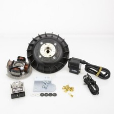 PINASCO KIT ACCENSIONE ELETTRONICA VOLANO d.20 1,1 KG FLYTECH VESPA PK 50 XL