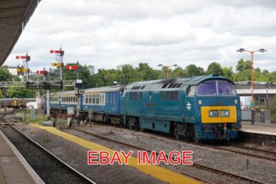 PHOTO  CLASS 52 D1015 WESTERN CHAMPION AT WORCESTER SHRUB HILL  ON BRANCH LINE S