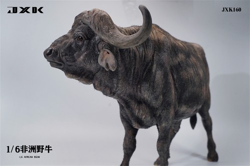 JXK 1/6 Syncerus Caffer Modelo Animal Salvaje Búfalo Africano Soldado Accesorio Regalo - Imagen 10 de 20