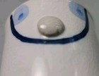 Picture 8 of 11