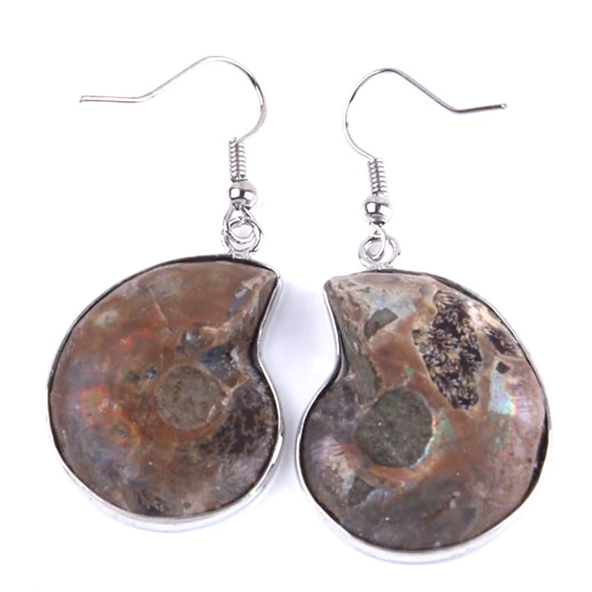 Natural Gemstone Random Size and Color Ammonite Fossil Shell Druzy Stone Earring - Image 3 of 3
