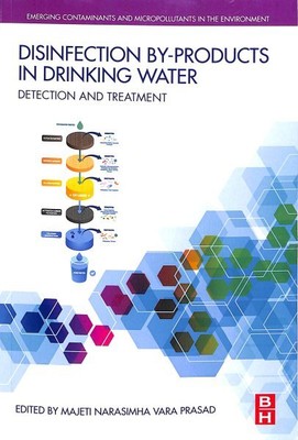 Disinfection By-products in Drinking Water : Detection and Treatment, Paperba...