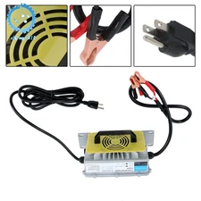 New 30A LiFePO4 Battery Charger Lithium Iron Phosphate Battery 24 Volts (DC)