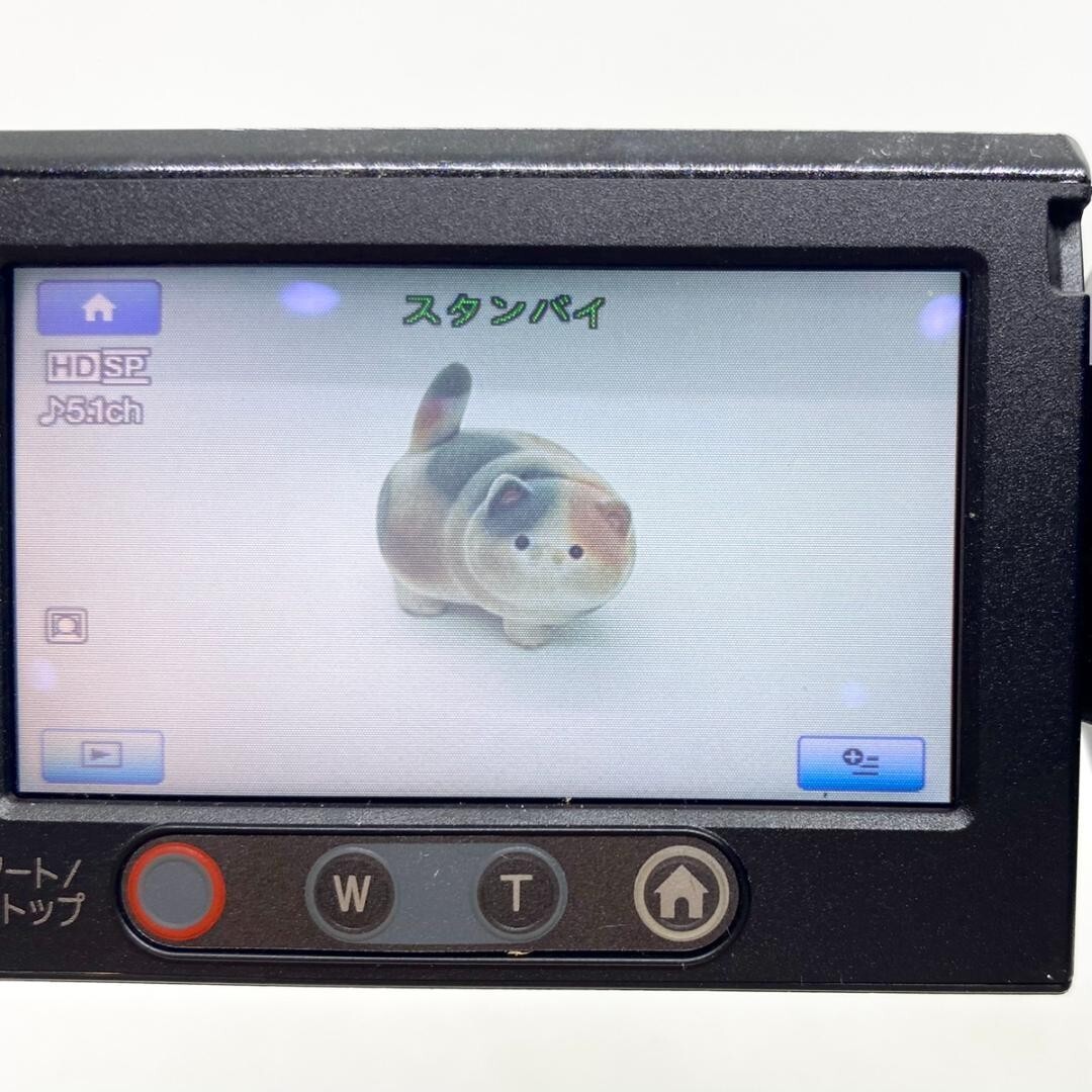 Sony HDR-SR8 HandyCam HDD Digital High Vision Video Camera