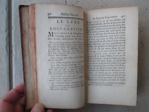 BUFFON : HISTOIRE NATURELLE tome 19, 1764. 24 planches (jaguar, cougar, lynx...) - Picture 7 of 21