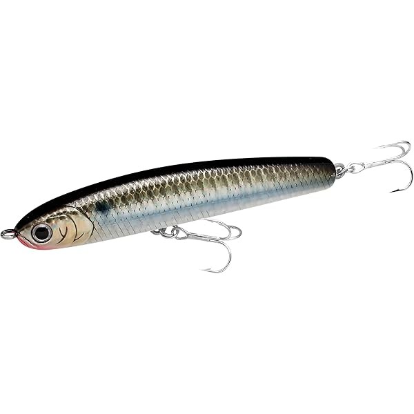 Lucky craft Wander 80 ESG Anchovy Venus sea bass lure From Stylish anglers J FS