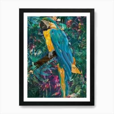 Tropischer Papagei Kunstdruck gerahmt Wandbild Poster Leinwanddruck Bild