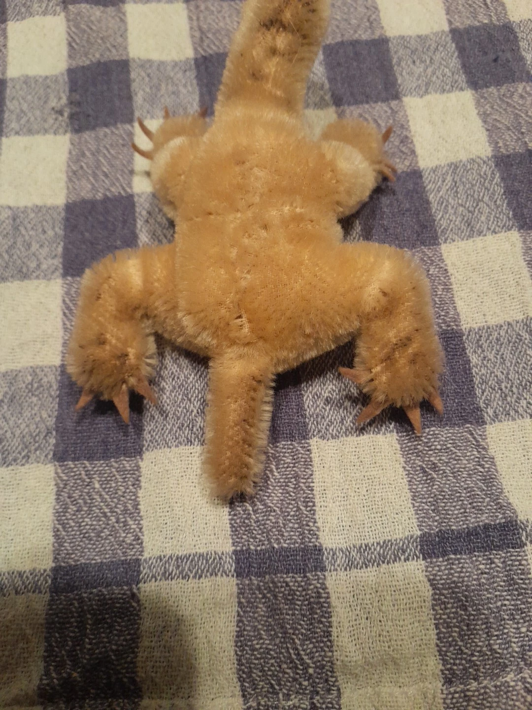 Bild 3 von 5