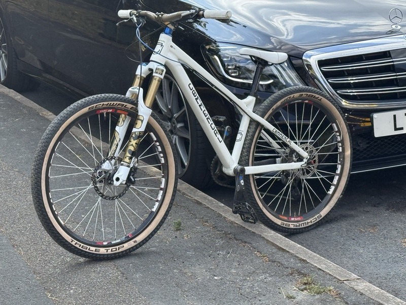 Commencal DJ | Fox 36 Factory | DT Swiss |