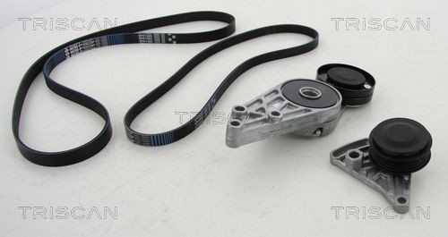 Triscan Keilrippenriemensatz 8642 29016 FüR Audi Skoda VW-image