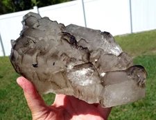 Large Natural SMOKY ELESTIAL Alligator Quartz aka Jacare Crystal Point Brazil