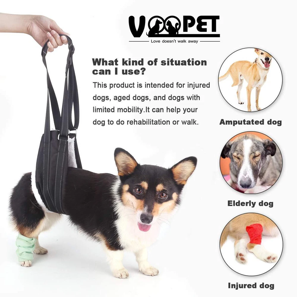 Dog Harness, Adjustable Straps, Medium, Black - Dog Rehabilitation Harness fo...