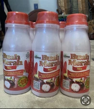 Buah Merah Herbal Juice