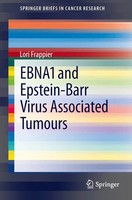 EBNA1 And Epstein-Barr Virus Associated Tumours Lori Frappier Taschenbuch Vii