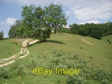 Photo 6x4 Track by a tree Winstone The topsoil is very thin on this ridge c2006