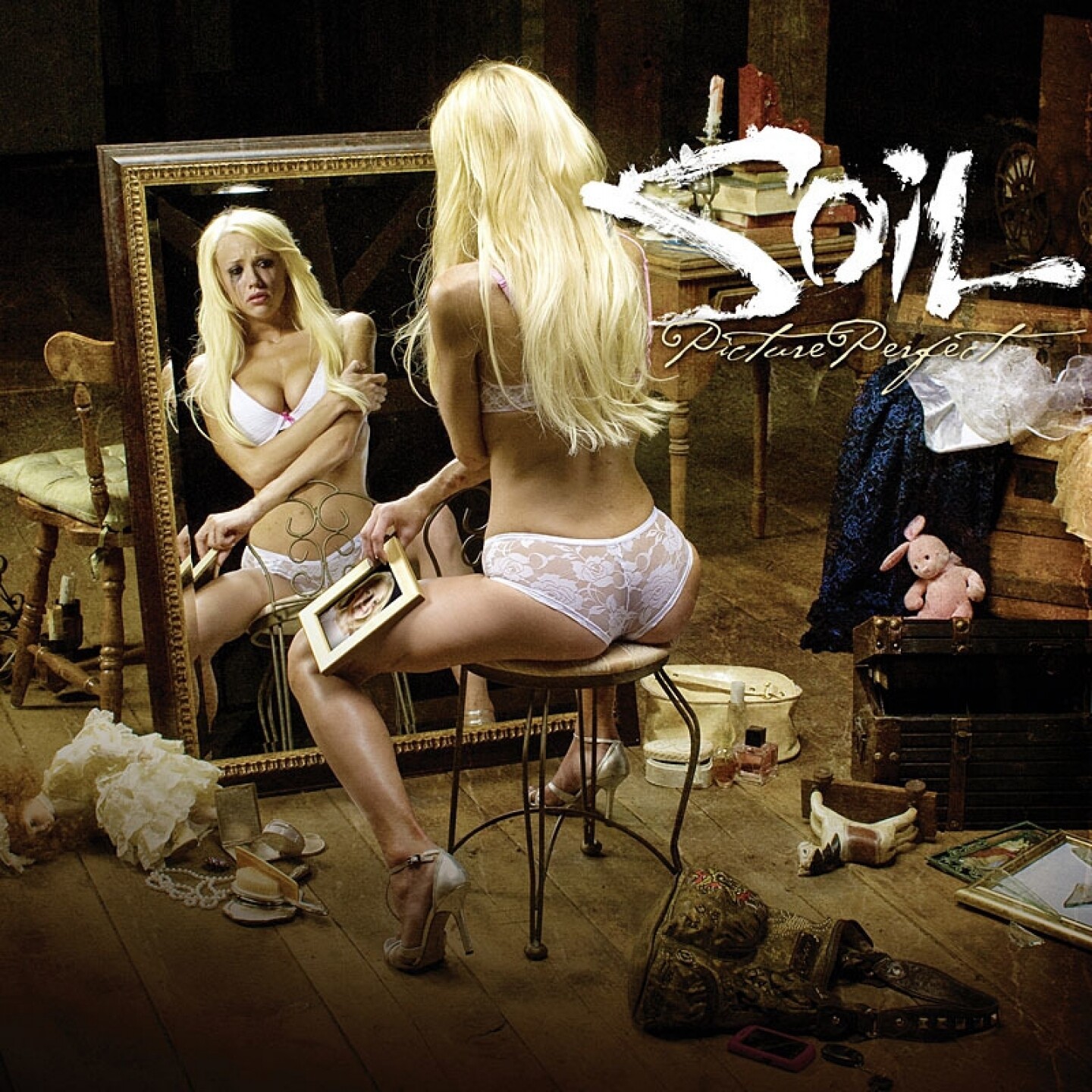 Soil Picture Perfect (CD) Album