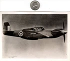 WW2 WWII RAF British Royal Air Force Military Press Photo North American Mustang