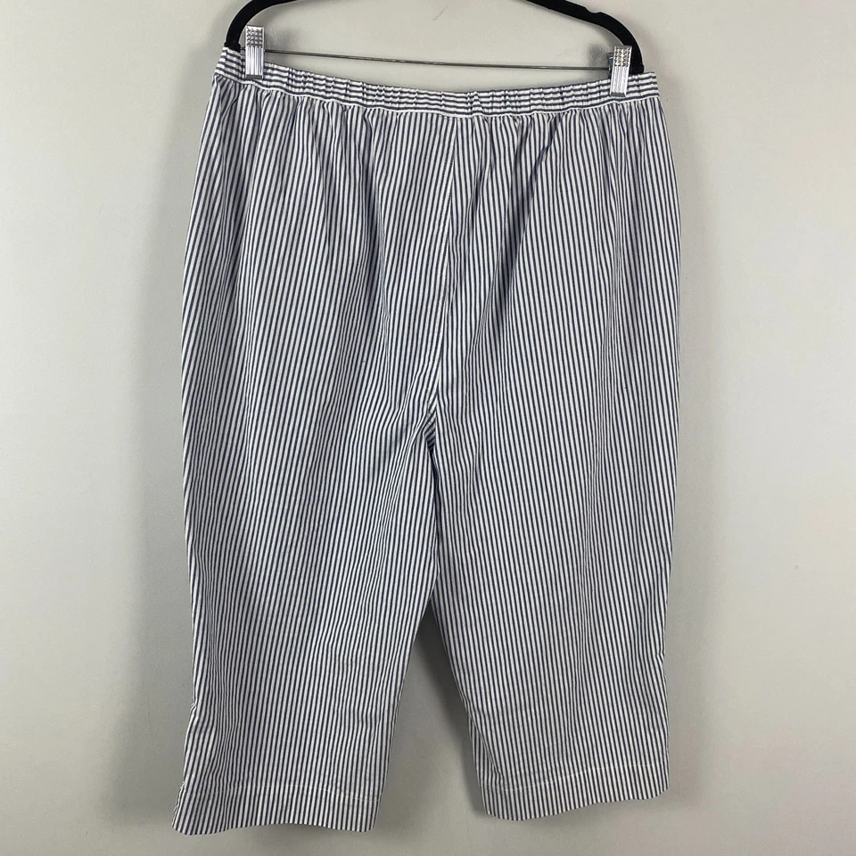 Quacker Factory Pull On 19" Stretch Seersucker Capri Pants Size 1X Blue White - Image 4 of 4