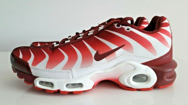 nike tn before the bite