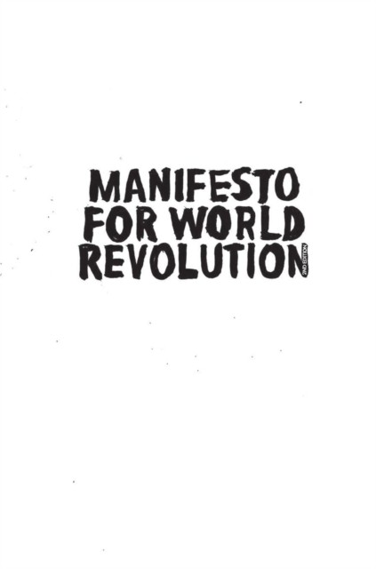Manifesto for World Revolution 2nd edition by Bruce Grierson (Paperback Book)