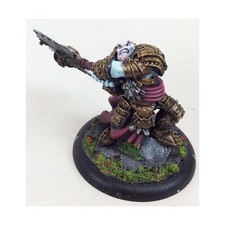 Hordes Trollbloods Loose Madrak Ironhide, World Ender #10 NM