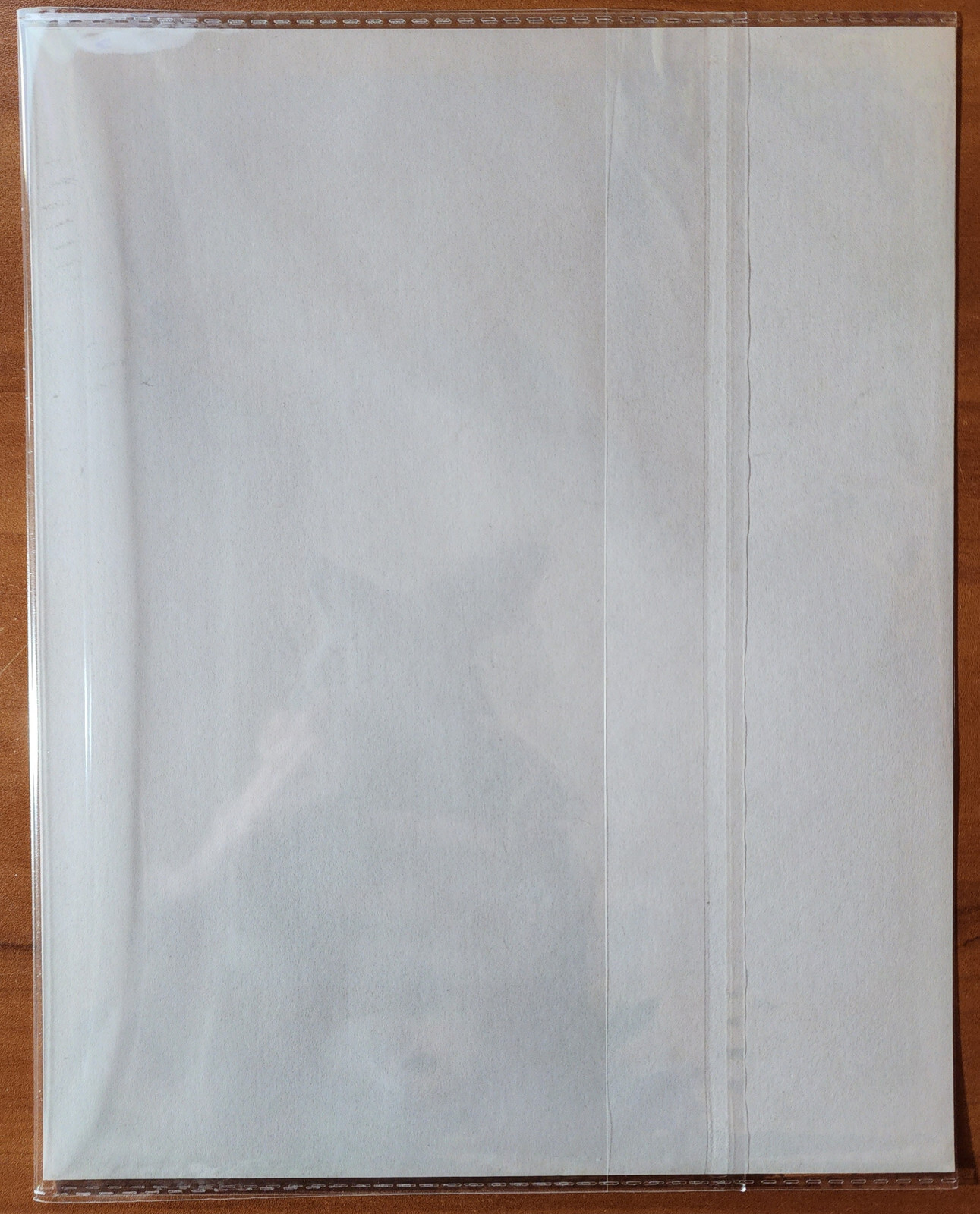 Bernard Kobel Traditional Tattoo Photo Vintage Tattooed Woman Back B&W 8X10