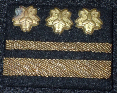 Cold War Japanese Tokyo Police Officer Bullion Lapel Rank Insignia