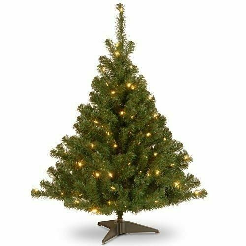 National Tree Co. Nordic 4' Green Spruce Artificial ...