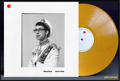 Bleachers Gone Now 限定Pink Marble Vinyl 【公式通販】