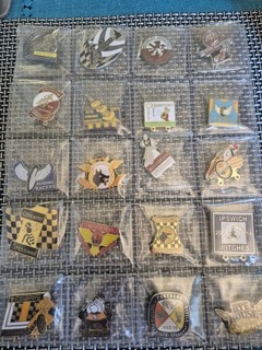20 Mixed Team Speedway Badges