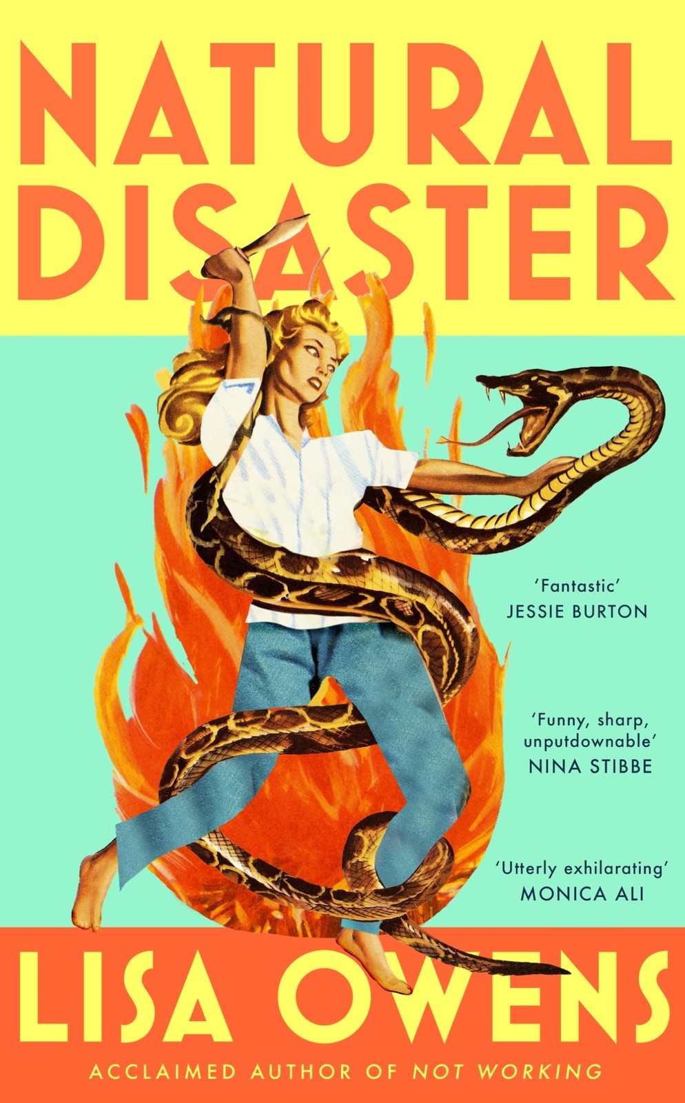 Natural Disaster by Lisa Owens Hardback - Image 7