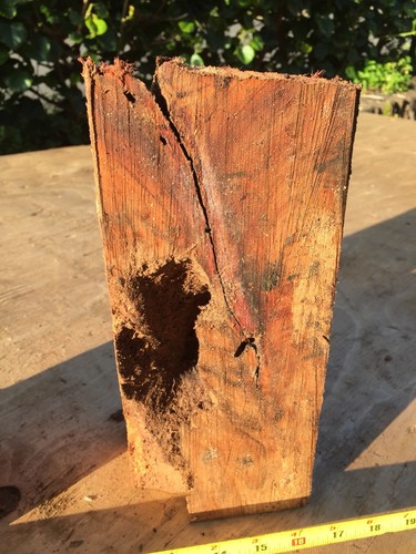 Reclaimed Wax Sealed Ultra Curly Koa Wood Bowl Blanks 2@11-13”x4-5x3-4” - Picture 6 of 12