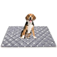 Bubble bear Dog Crate Pad - Ultra Soft, Washable Crate Mat, Anti-Slip Kennel ...