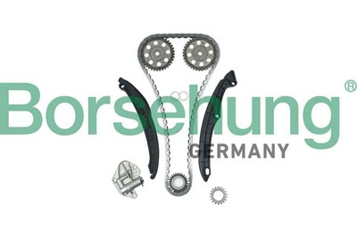 Borsehung B16296 Timing Chain Kit for SEAT,SKODA,VW