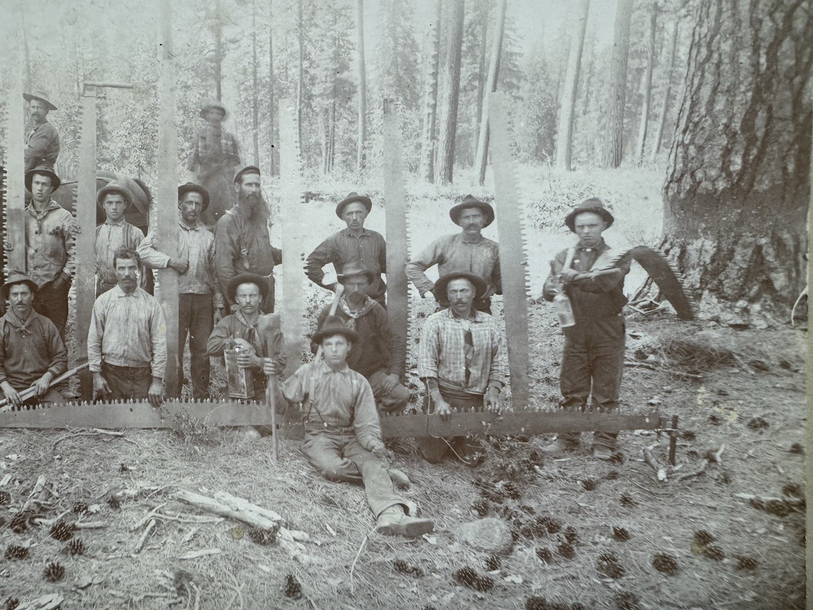 CALIFORNIA Lumber Lumberjack Workers Group Photograph McCloud Siskiyou County