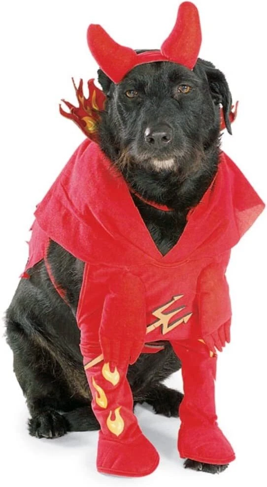 Dog in devil costume cheap