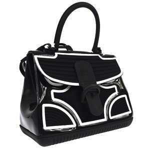 delvaux champion bag