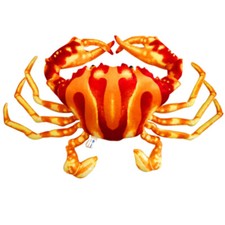 Stuffed Animal Plush Toy Red Crab in 27 cm 10.6" Gift for Boys  Girls