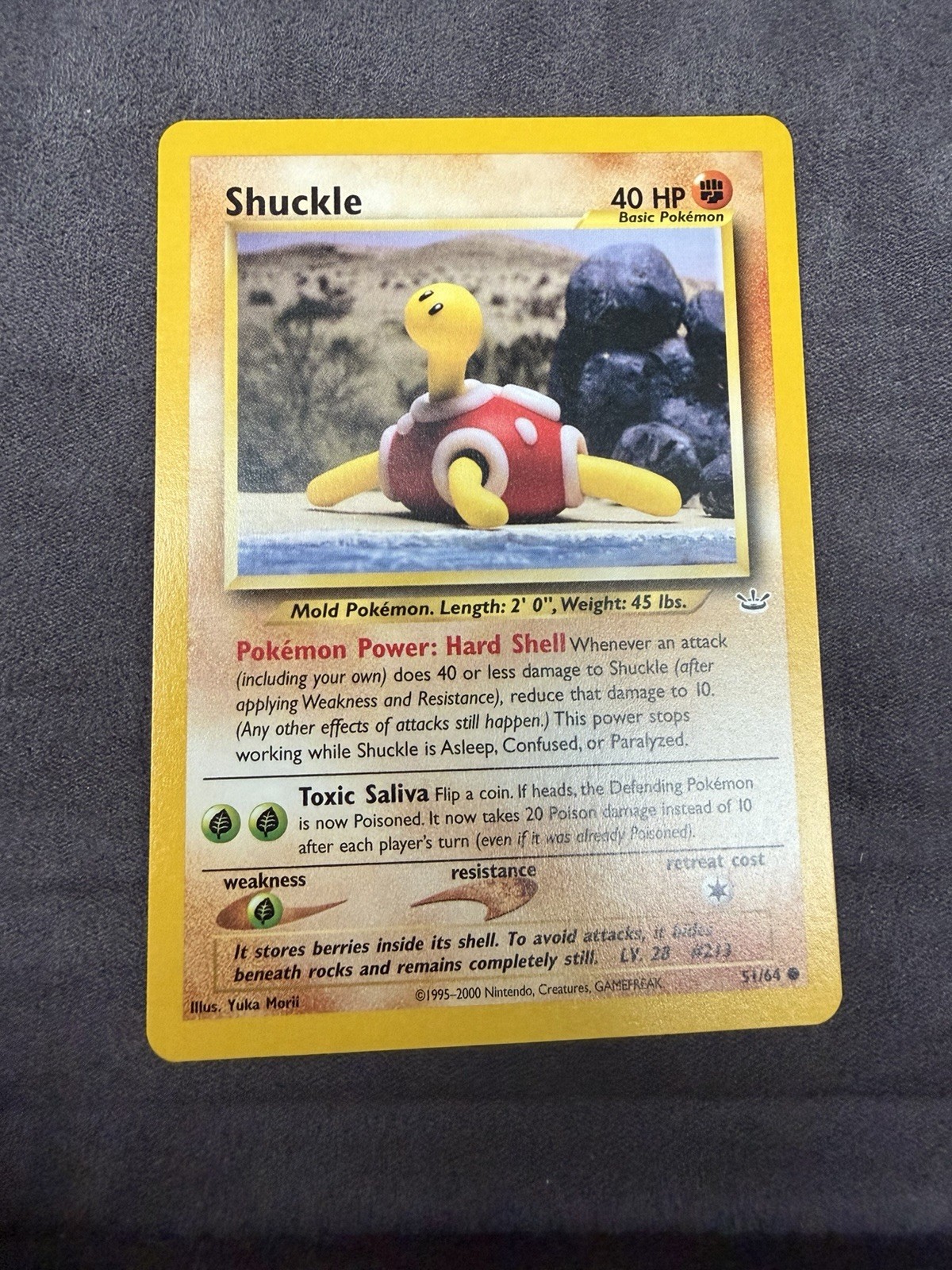 Pokemon TCG Shuckle 51/64 Neo Revelation Common Regular English 2000 Basic 40HP
