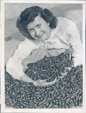 1945 Helen Morgan Acorns Los Angeles Ca Harvest Replanting Pretty Vintage Photo
